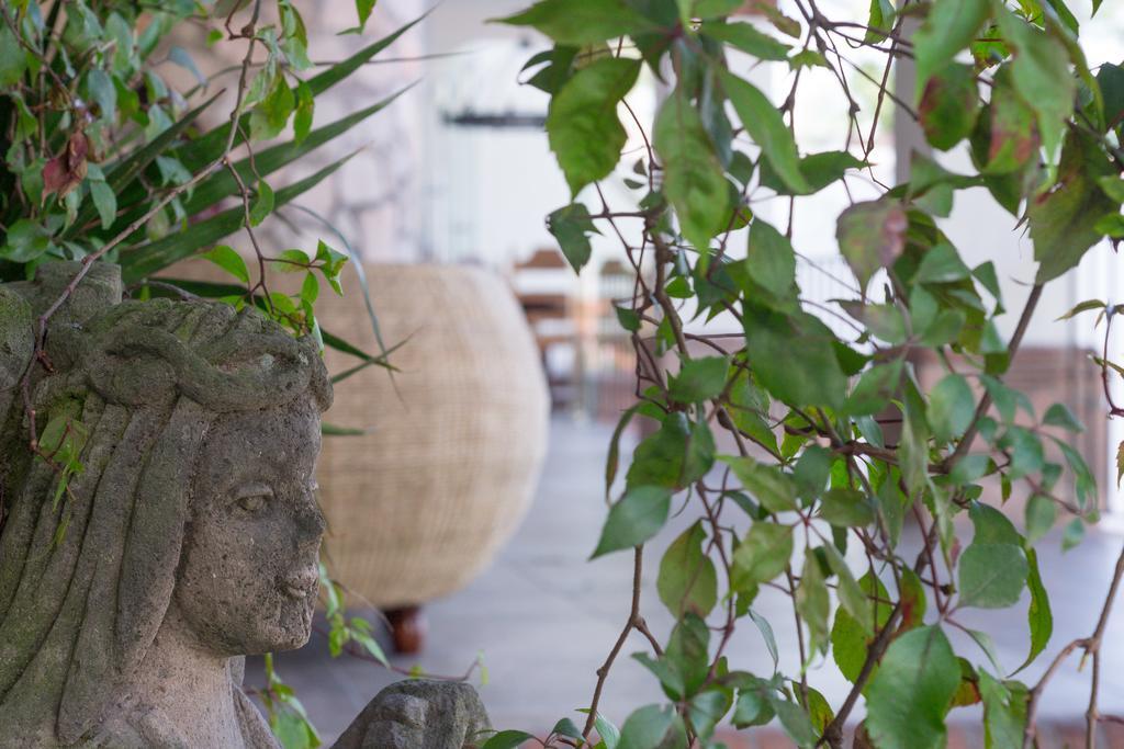 Maja Hotel Boutique Morelia Exterior photo